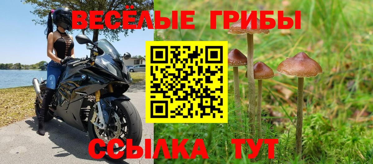 Галлюциногенные грибы мухоморы Боровичи
